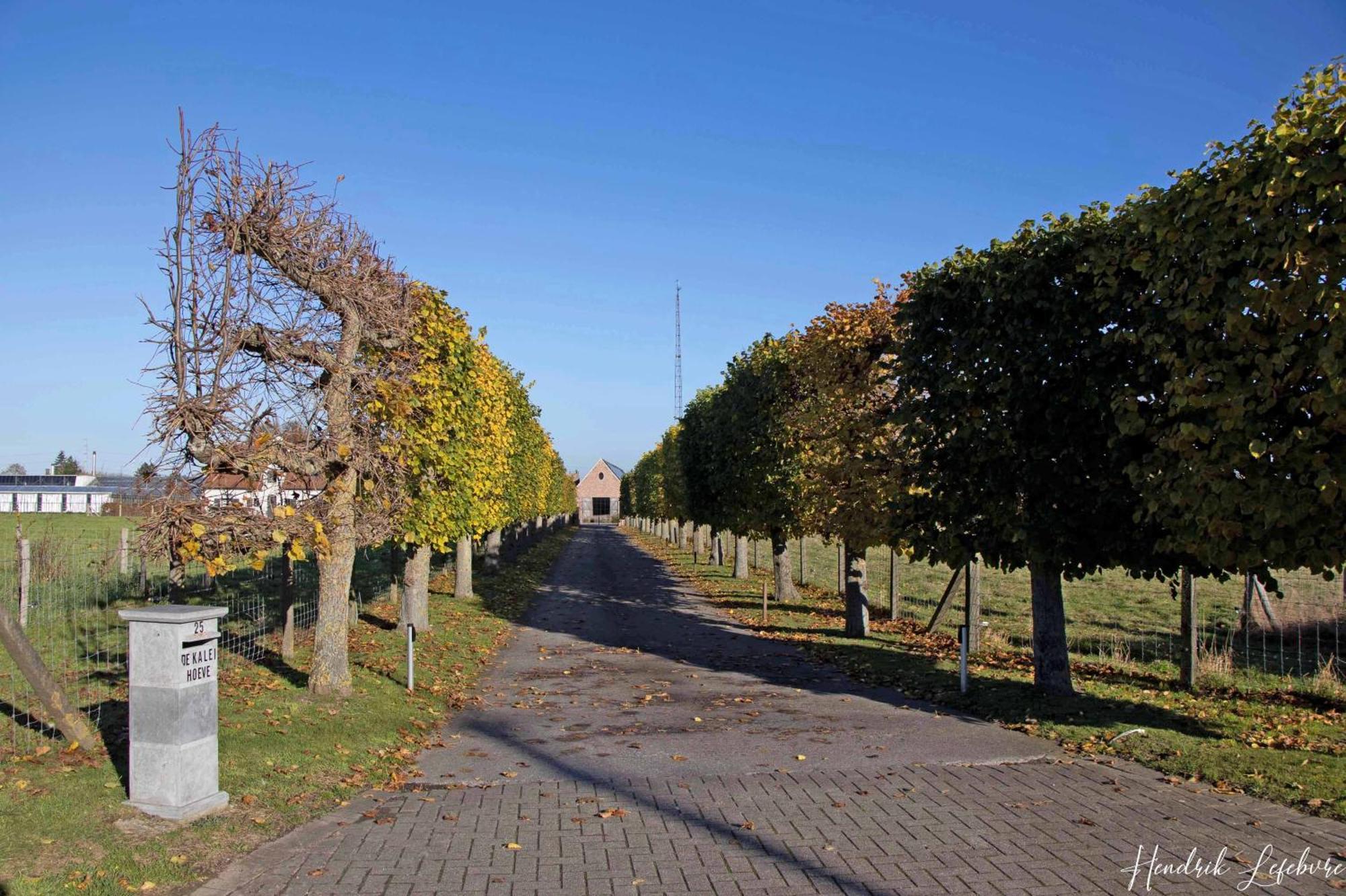 Waar Overnachten in West-Vlaanderen: 4 Beste 4-Sterrenhotels